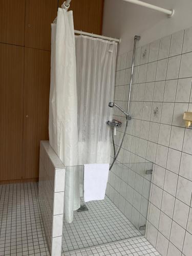 a bathroom with a shower with a shower curtain at Kloster Altenhohenau FHN in Griesstätt