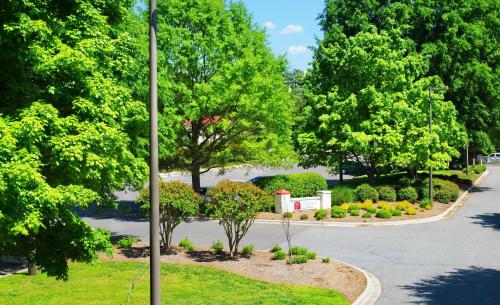 a street in a park with trees and a pole at Village Inn Clemmons-Winston Salem, Trademark by Wyndham in Clemmons