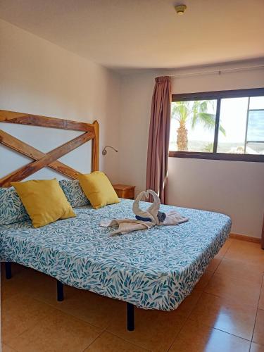 Oasis Papagayo Corralejo