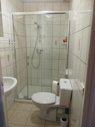 a bathroom with a shower and a toilet and a sink at Le Sel J'm in Salins-les-Bains