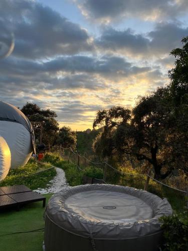 a hot tub sitting next to a road with a tent at Glamping Burbuja Los Almendros in Málaga