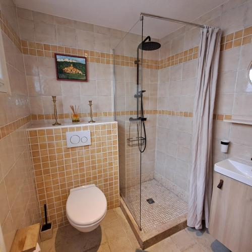 a bathroom with a shower and a toilet and a sink at Le Mas des Deux Tilleuls in Sablet
