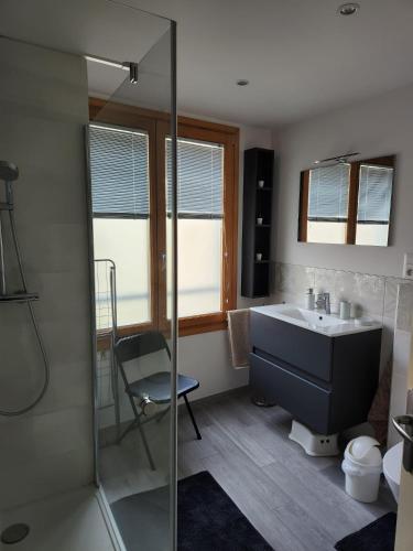 a bathroom with a sink and a glass shower at La Tour Cicon in Salins-les-Bains