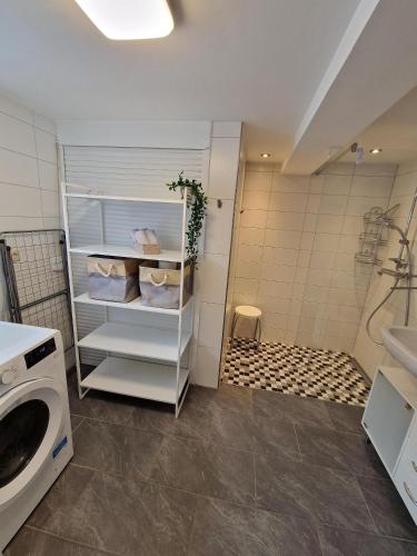 ein Badezimmer mit Waschbecken und Waschmaschine in der Unterkunft Pfaffenhaus in Frankenheim