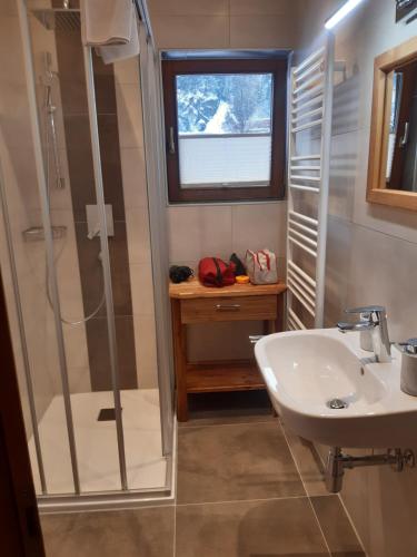 a bathroom with a shower and a sink at Landsitz im Reitle in Längenfeld