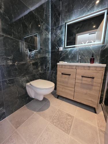 a bathroom with a toilet and a sink at L'hyère in Carhaix-Plouguer