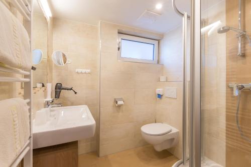 a bathroom with a toilet and a sink and a shower at Sonnhof in Ramsau am Dachstein