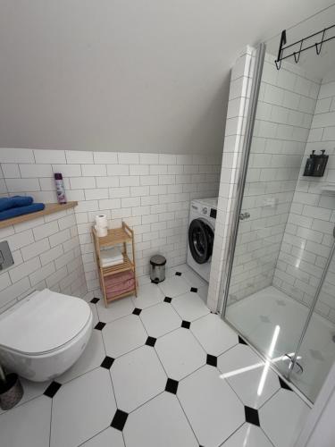 a bathroom with a toilet and a shower at Laki house in Jasień