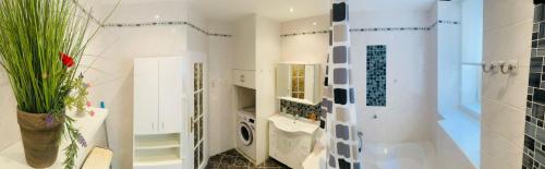 a bathroom with a shower and a toilet and a sink at Residenz Emilia in Mariánské Lázně