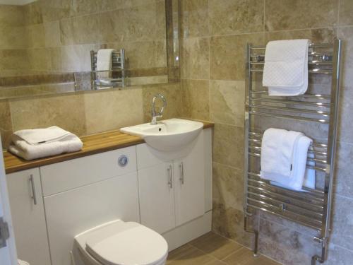 a bathroom with a sink and a toilet at Druid House in Christchurch