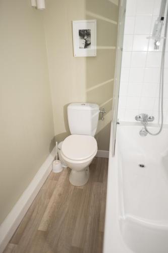 a white bathroom with a toilet and a shower at Longère de charme en pleine nature in Chillac