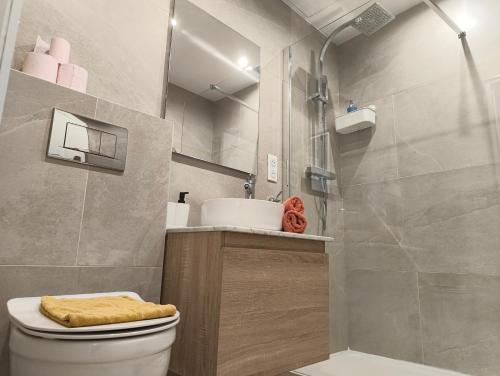 a bathroom with a toilet and a sink and a shower at HOSTEL MEYERBEER - Rooms and Apartments in Nice