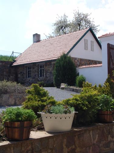 a house with three potted plants in front of it at Penzion V polích in Malé Číčovice