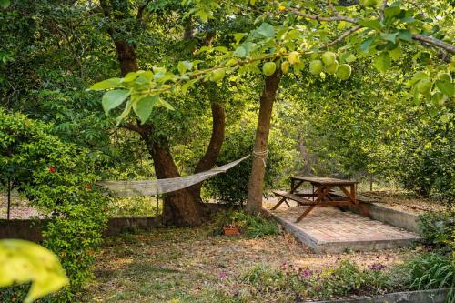 Foto Sunshine Home - Peaceful Garden Escape & Parking 2