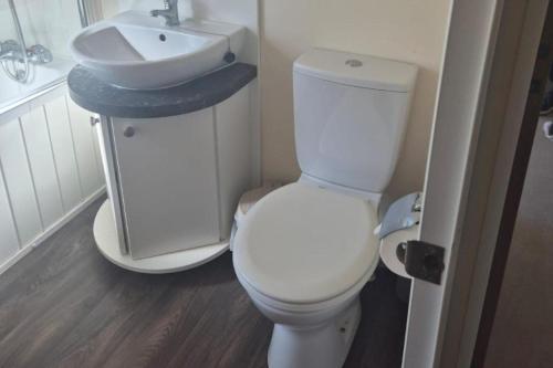 a bathroom with a white toilet and a sink at 2 Bed Caravan - Sleeps 6 - Pets - Pool - Parking in Newquay
