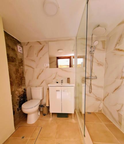a bathroom with a toilet and a glass shower at Out of Town in Castelo de Paiva
