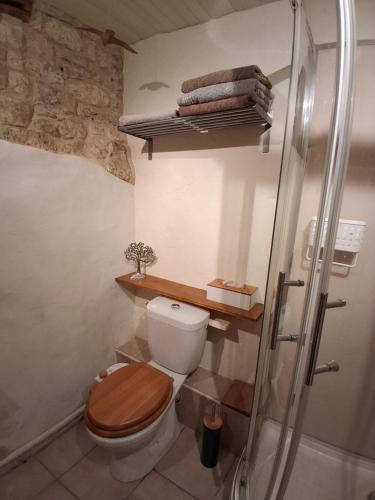 a bathroom with a toilet and a glass shower at Escale Zen en Quercy in Montalzat