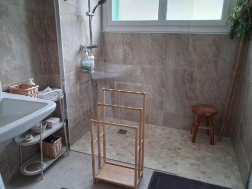 a bathroom with a shower with a shelf and a sink at Au 19 in Tanlay