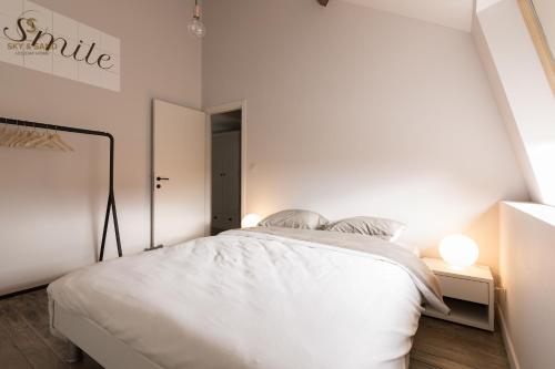 ein weißes Schlafzimmer mit einem großen weißen Bett mit zwei Kissen in der Unterkunft Sky & Sand - Free parking - Free bikes - EVcharging in Brügge