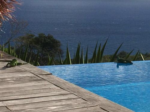 two birds sitting on the edge of a swimming pool at Villa Cajou chambres d'hôtes chez l'habitant et Zanzibar cottage in Trois-Rivières