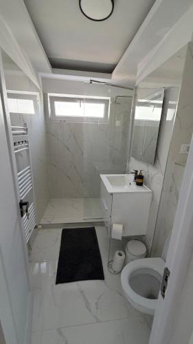 a white bathroom with a sink and a toilet at Luxury Lion Crib in Bacău