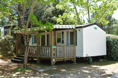a tiny house with a porch and a tree at Camping Les Pins de Sel in Saint-Augustin