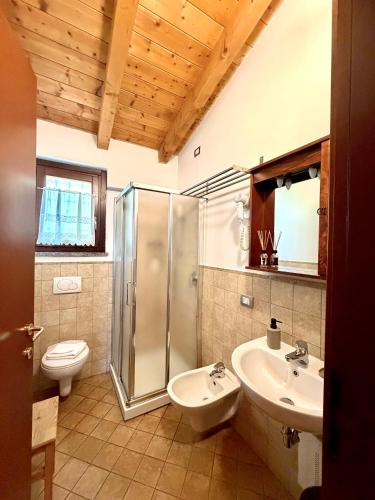 a bathroom with a shower and a toilet and a sink at Agri Village Pavia in Certosa di Pavia