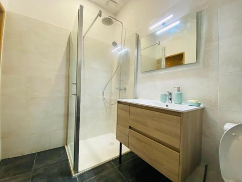 a bathroom with a sink and a shower at Le Petit Francillon in Villebarou