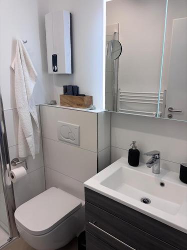a bathroom with a sink and a toilet and a mirror at Ostseeblick Apartment 2 in Scharbeutz