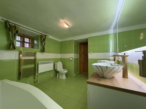 a green bathroom with a sink and a toilet at Chalupa pod Kralickým Sněžníkem in Staré Město