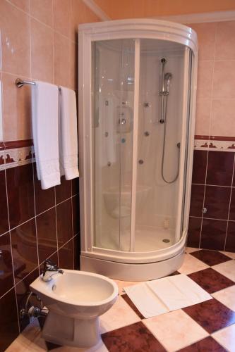 a bathroom with a shower and a toilet at Guest House Vila Lujza in Palić