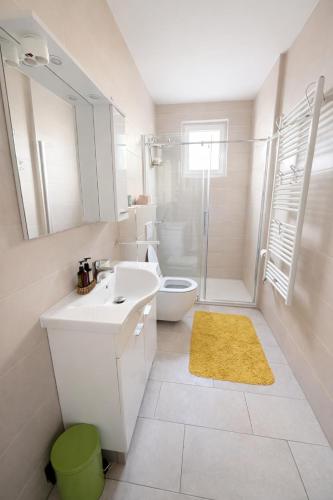 a bathroom with a sink and a toilet and a shower at Apartments Vila Vino in Sveta Nedelja