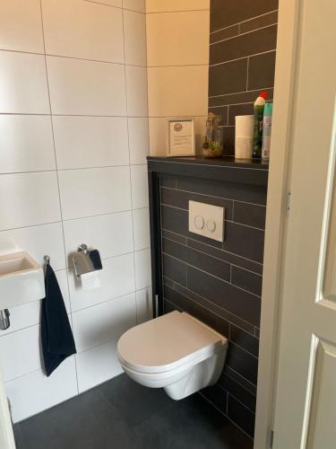 a bathroom with a toilet and a sink at De Peelrand Hoeve in Venhorst
