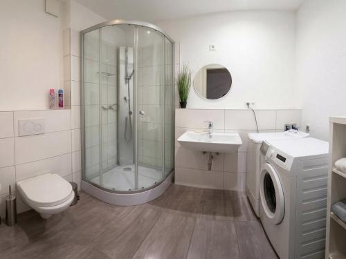 a bathroom with a shower and a toilet and a sink at Grenz-Apartment an der Aach in Rielasingen-Worblingen
