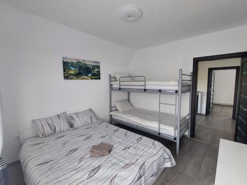 a bedroom with a bed and a bunk bed at Vila Narci Paltinis in Păltiniş
