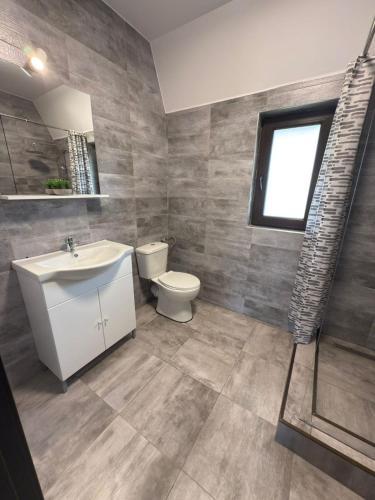 a bathroom with a sink and a toilet and a window at Vila Narci Paltinis in Păltiniş