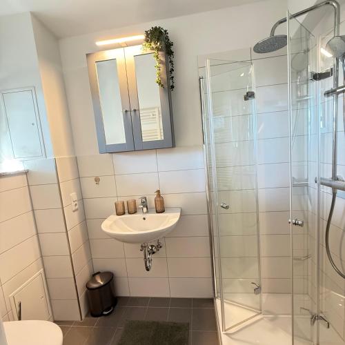 a bathroom with a sink and a shower at Tiny Haus in Bad Sulza