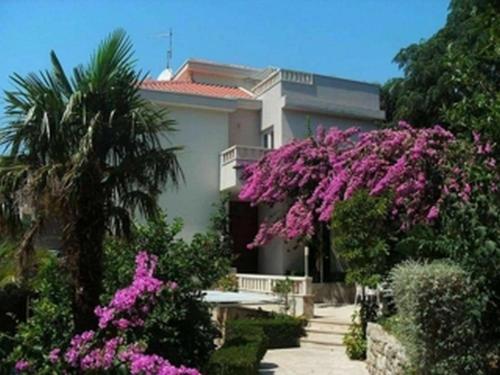 Krvavica apartments