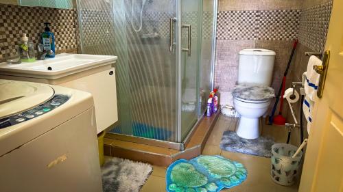 a bathroom with a shower and a toilet and a sink at The Aviators Villa in Flic-en-Flac