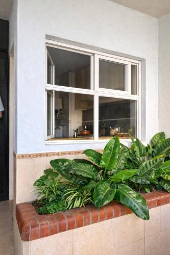 a window in a building with green plants at Brisas paraiso in Concepción del Uruguay