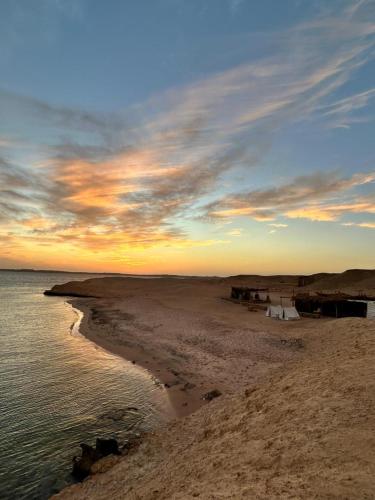 Blend in Silence Zen Eco Camp