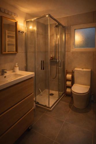 a bathroom with a shower and a toilet and a sink at Cottage cosy avec spa privatif - escapade romantique Val de Loire in Chouzy-sur-Cisse