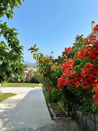 Katerina's Apartments