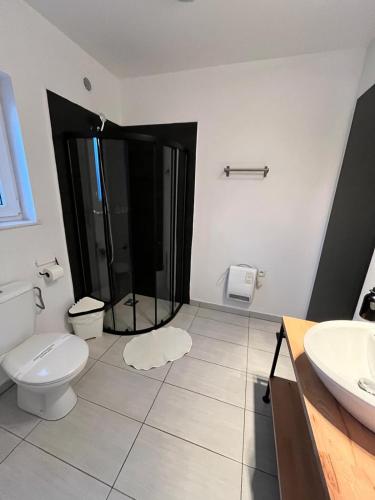 a bathroom with a shower and a toilet and a sink at Zielony Cypel in Lubniewice