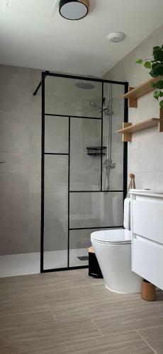 a bathroom with a glass shower and a toilet at ABA Malaguita in Conil de la Frontera