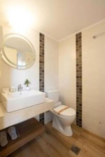 a bathroom with a toilet and a sink and a mirror at Dimitra Hotel & Apartments by Omilos Hotels in Kokkini Khanion