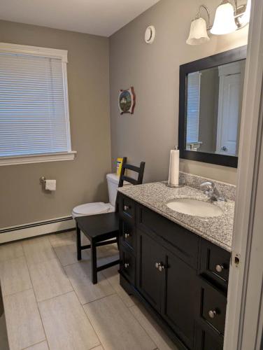 a bathroom with a sink and a mirror and a toilet at Birch Woods House in Stratford