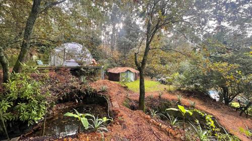 a garden with a greenhouse in the middle of a forest at Selfmade Yurt - NaturViana in Viana do Castelo