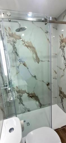 a bathroom with a glass shower and a toilet at Quinta da Toqueira in Canedo