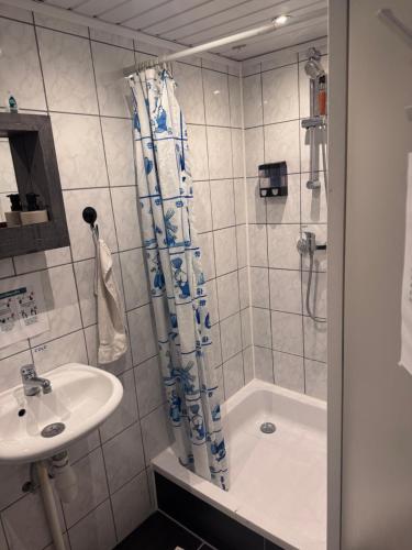 a bathroom with a shower and a sink and a tub at Guesthouse Czaar Peter in Zaandam